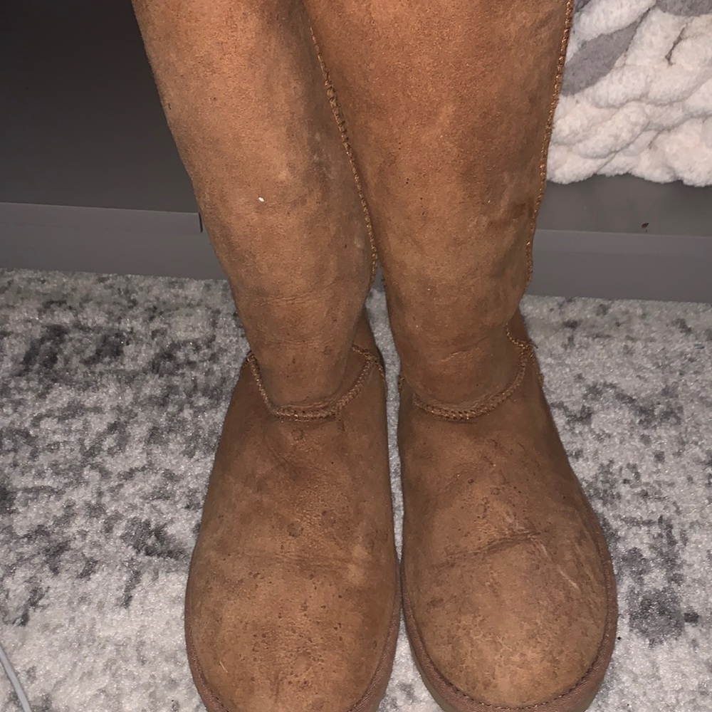 Tall Chestnut Uggs
